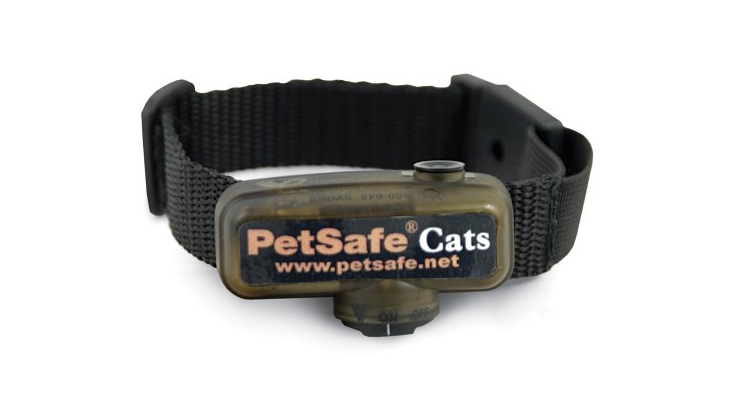 cat shock collar